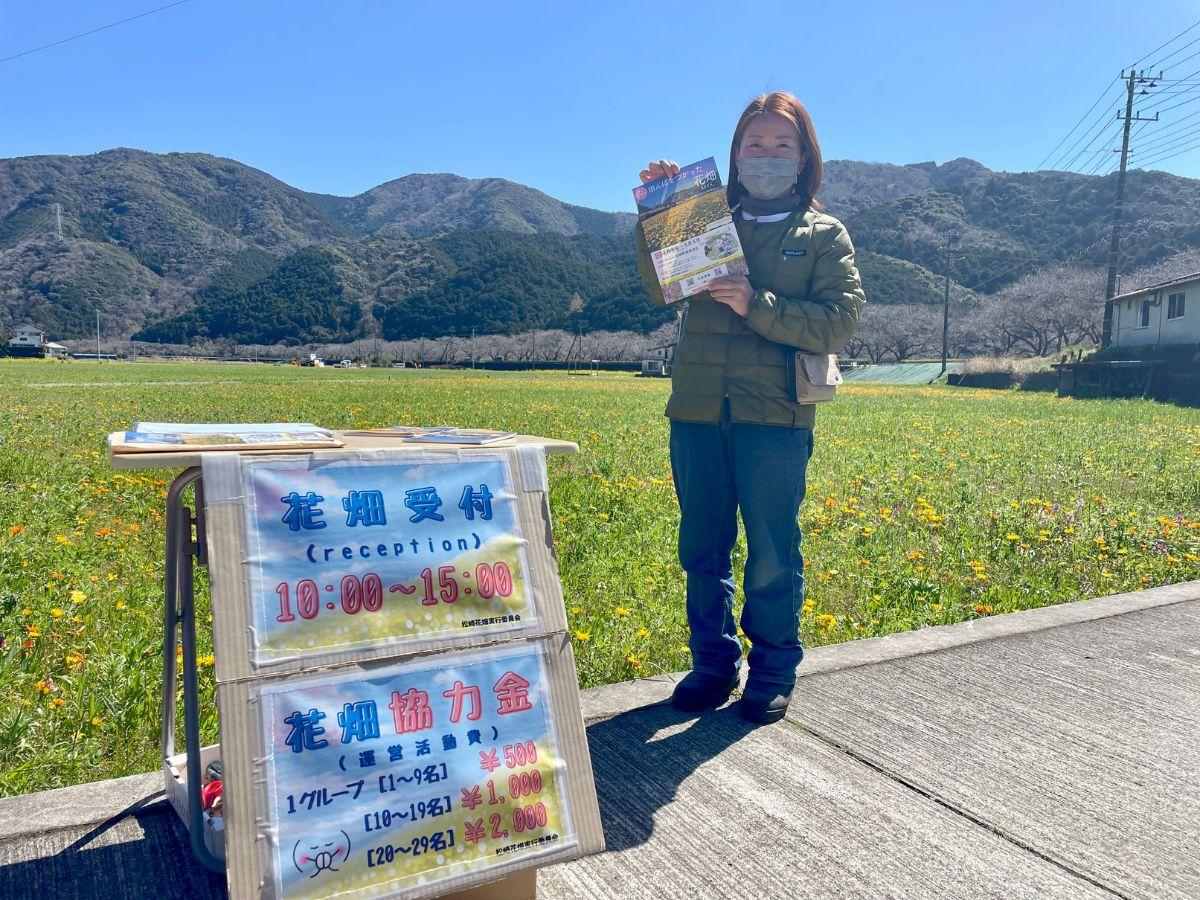 松崎町の「田んぼをつかった花畑」 最終盤には恒例の花摘みも - 伊豆
