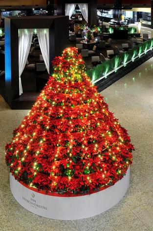 真っ赤なポインセチアのクリスマスツリー、ANAインターコンチに登場