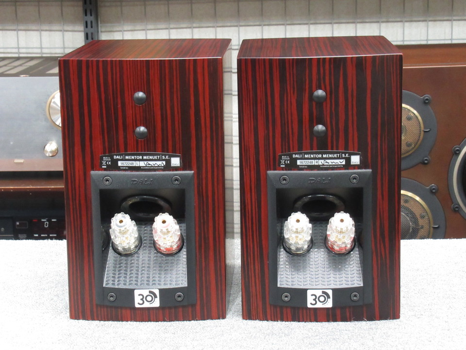 MENTOR MENUET SE DALI - HiFi-Do McIntosh/JBL/audio-technica/Jeff