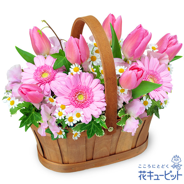 チューリップのハーモニーバスケット - 誕生花 2月（チューリップ