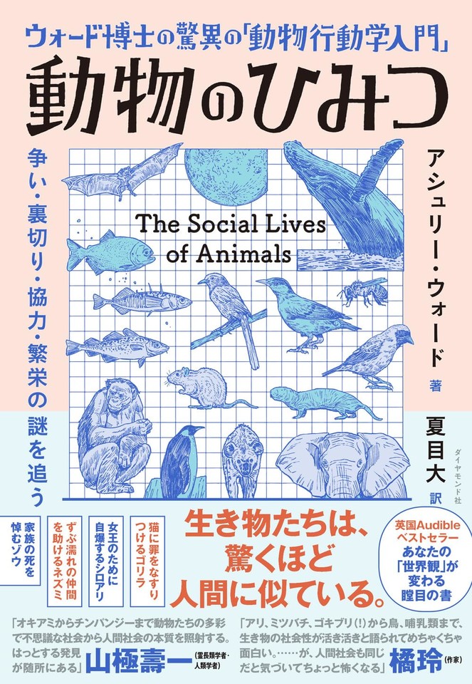 ウォード博士の驚異の「動物行動学入門」 動物のひみつ 争い・裏切り
