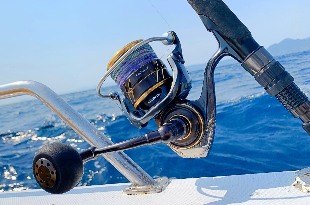 定価の半額以下のやつもあるやん！カルディアとカルディアSWが超