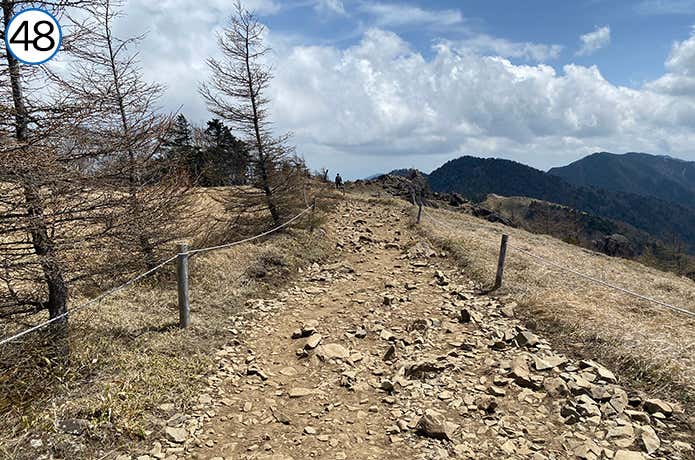 大菩薩嶺コースガイド｜上日川峠～大菩薩峠周回コース | YAMA HACK