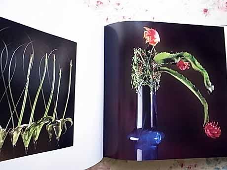 DANIEL OST in JAPAN アートブック DANIEL OST JAPAN DANIEL OST in