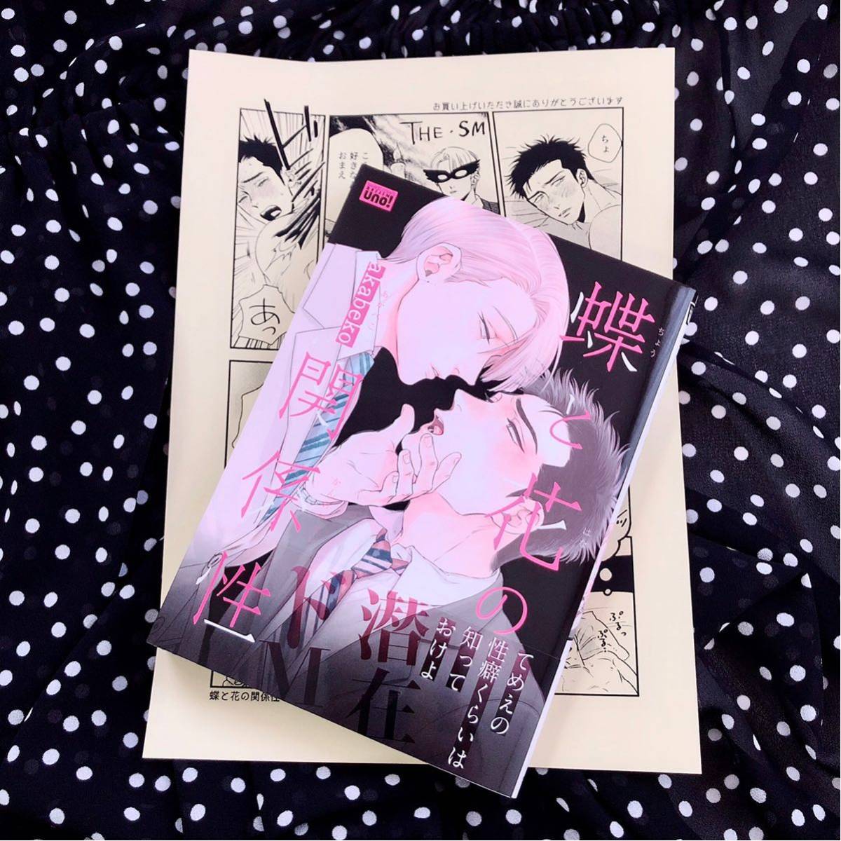 新品】蝶と花の関係性 akabeko 特典 ペーパー 付き 新品 帯あり BL