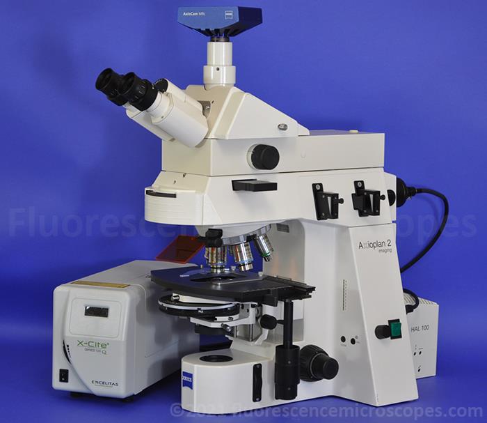 Zeiss AxioPlan-2ie Imaging Manual Upright Fluorescence DIC Phase