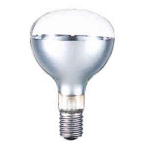 岩崎電気 屋外投光用アイランプ RF110V180WH (電球・蛍光灯) 価格比較