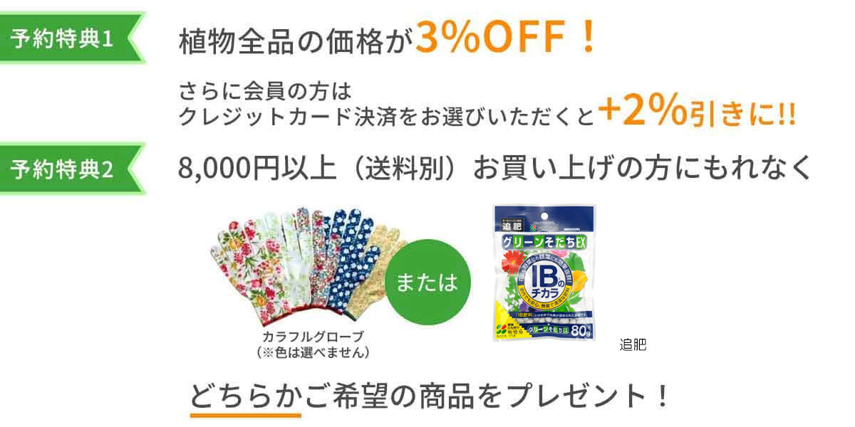 園芸ネット本店｜4月上旬予約:草花の球根 の商品一覧【公式】