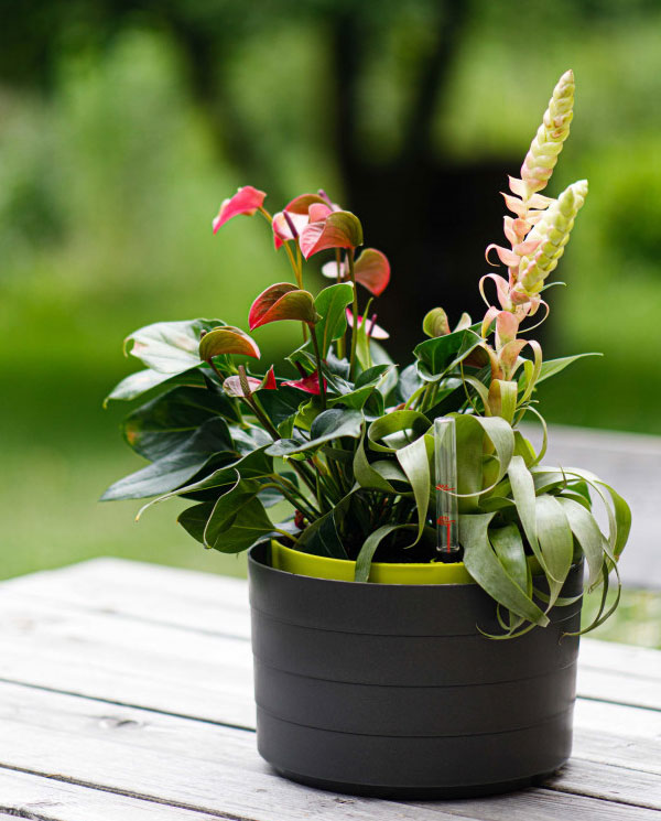 園芸ネット本店｜プラスティア：吊り下げ式底面潅水フラワーポット