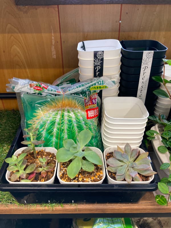 園芸ネット本店｜プレステラ90型ブラック10個セット の通販【公式】