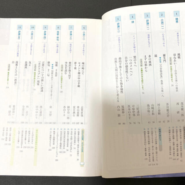 精選 国語総合 新訂版 大修館書店 高等学校国語科用 文部科学省検定済