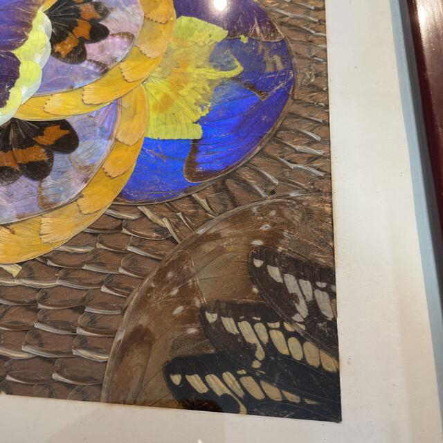 額縁付き】モルフォ蝶 アート【壁掛け可能】の通販 by 大根's shop｜ラクマ