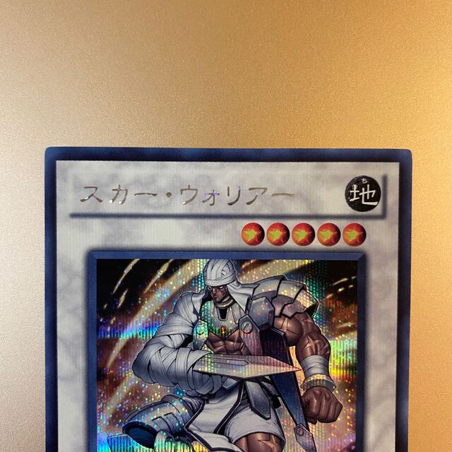遊戯王 - 遊戯王 スカー・ウォリアー PP13-JP008 シークレットレア 1枚