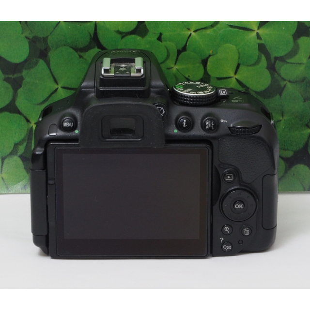 Nikon - 【美品】Wifi搭載⭐️自撮りOK ニコンD5300 2416万画素 標準