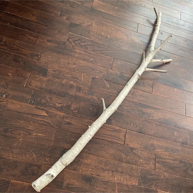 北海道白樺の木 店舗用インテリア 装飾 クリスマス装飾 の通販 by 花萌