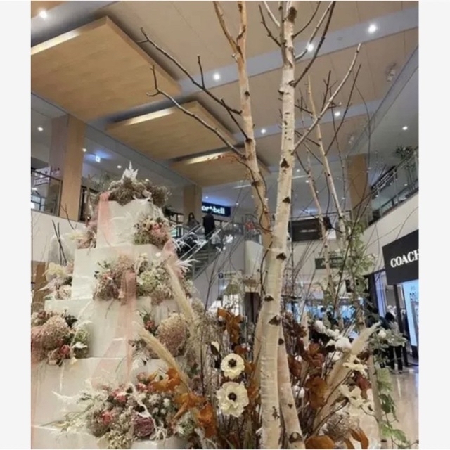 北海道白樺の木 店舗用インテリア 装飾 クリスマス装飾 の通販 by 花萌