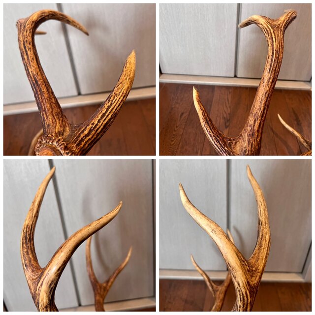 鹿の角の通販 by ポコ8's shop｜ラクマ