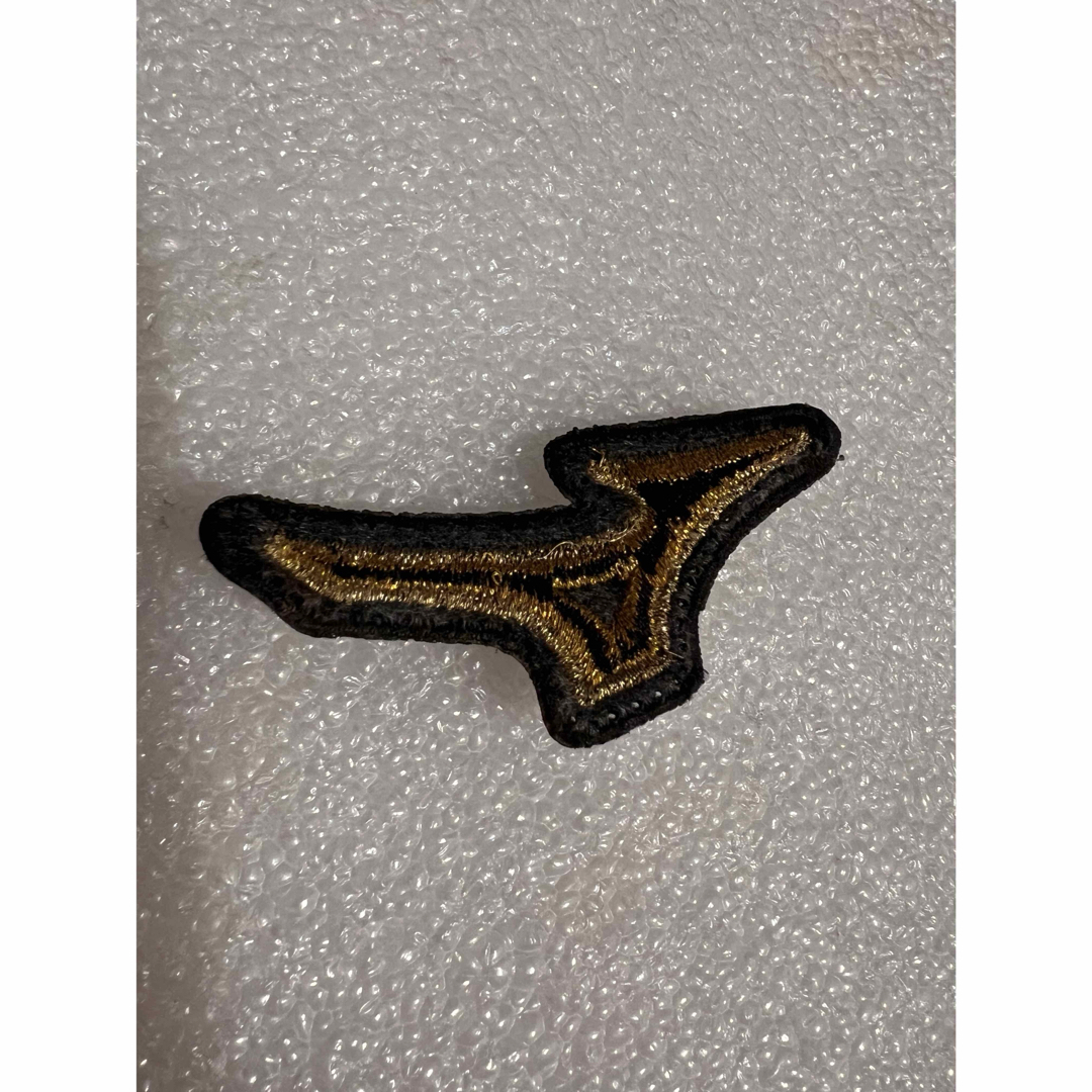 MIZUNO - ☆現行タイプ☆ ミズノ ミズノプロ 硬式用 グラブ ラベル