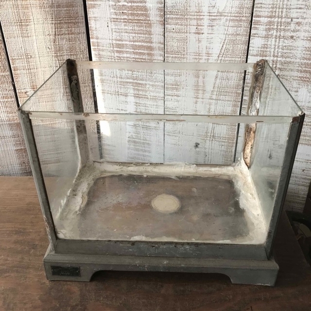 アンティーク 水槽の通販 by リン's shopプロフ必読｜ラクマ