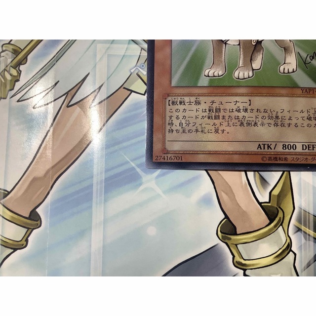 遊戯王 - 柴戦士タロ ウルトラレア 4つ目 YAP1-JP009の通販 by 【3周年