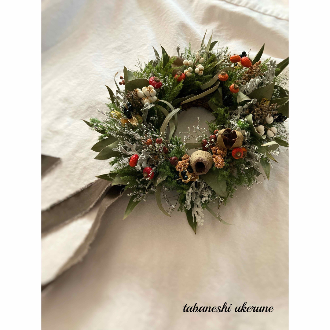 数種類の実物と針葉樹を紡いだ オーバル型のクリスマス リース ドライ