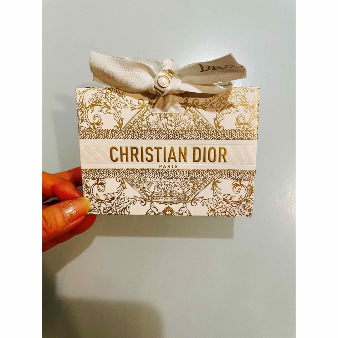Christian Dior - DIOR ディオール 2023ホリデー限定 ショッパー