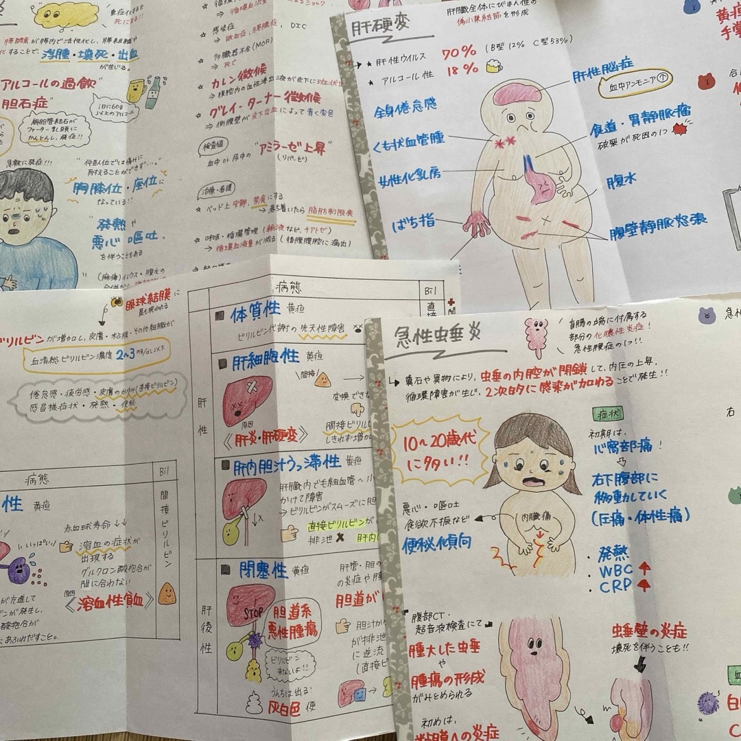 看護師国家試験対策【必修＋レビュー2点セット！！】国試ノート 付箋