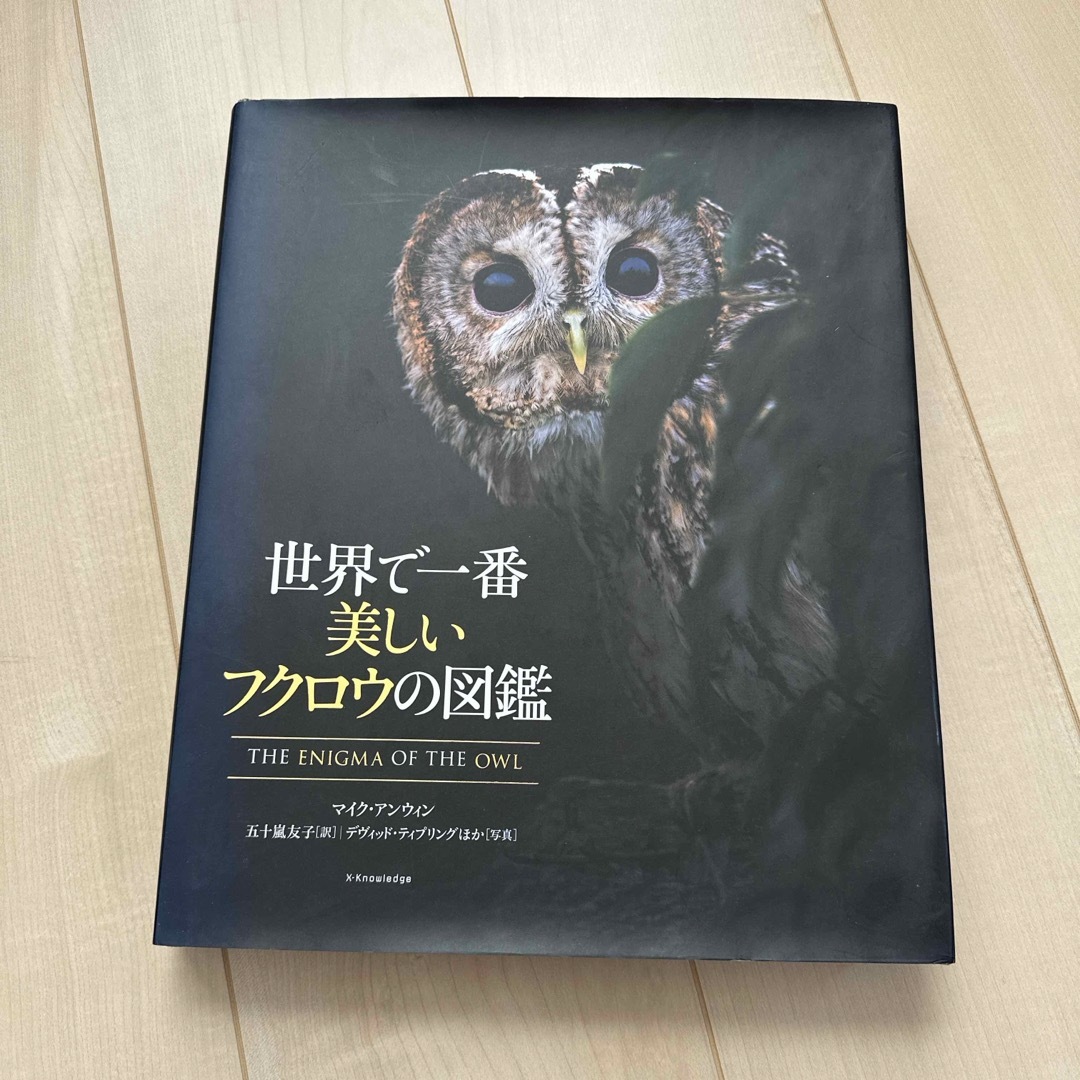 世界で一番美しいフクロウの図鑑の通販 by えみ's shop｜ラクマ