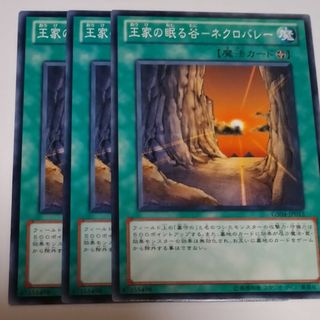 遊戯王 - 王家の眠る谷ネクロバレー ノーマル3枚 遊戯王の通販 by