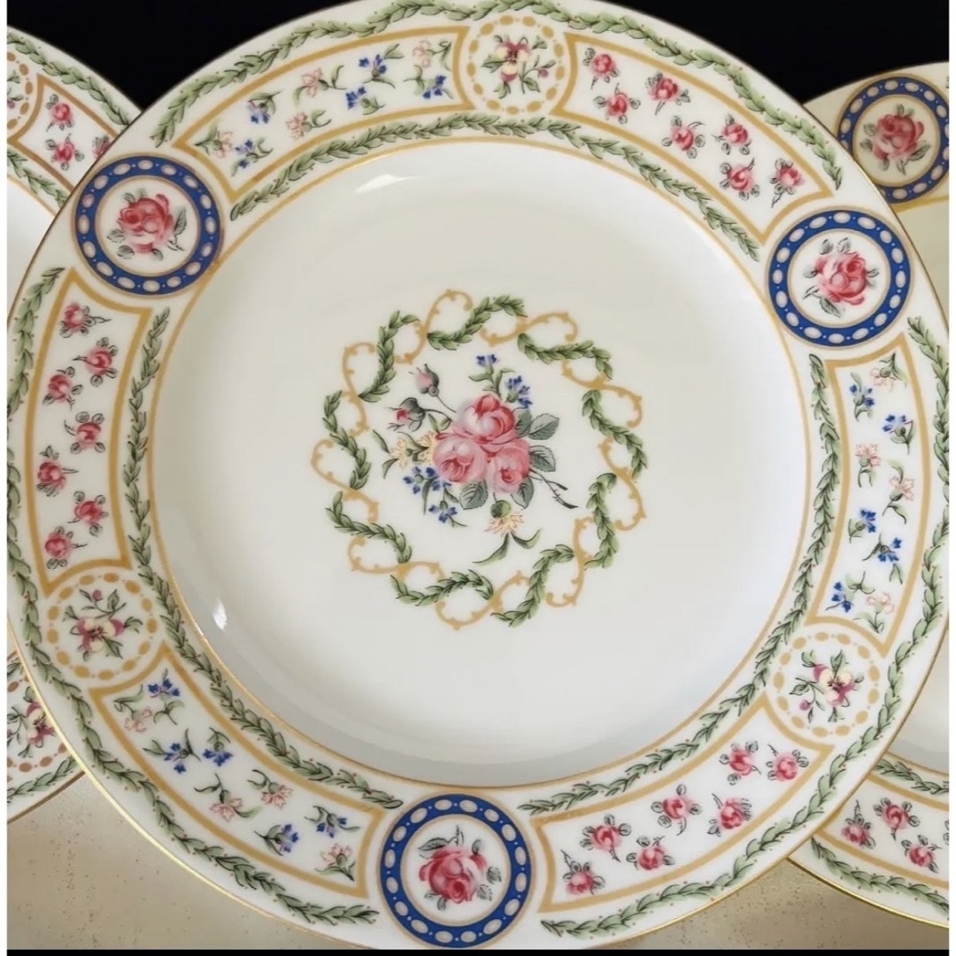 Haviland - アビランド リモージュ ルーブシエンヌ 19cmプレート 4枚