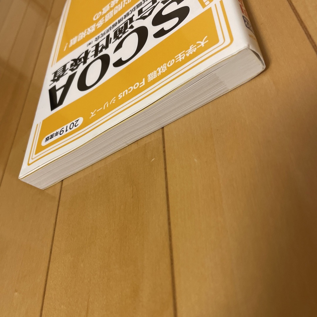 書き込み無し中古明快！SCOA総合適性検査 2019年度版公務員