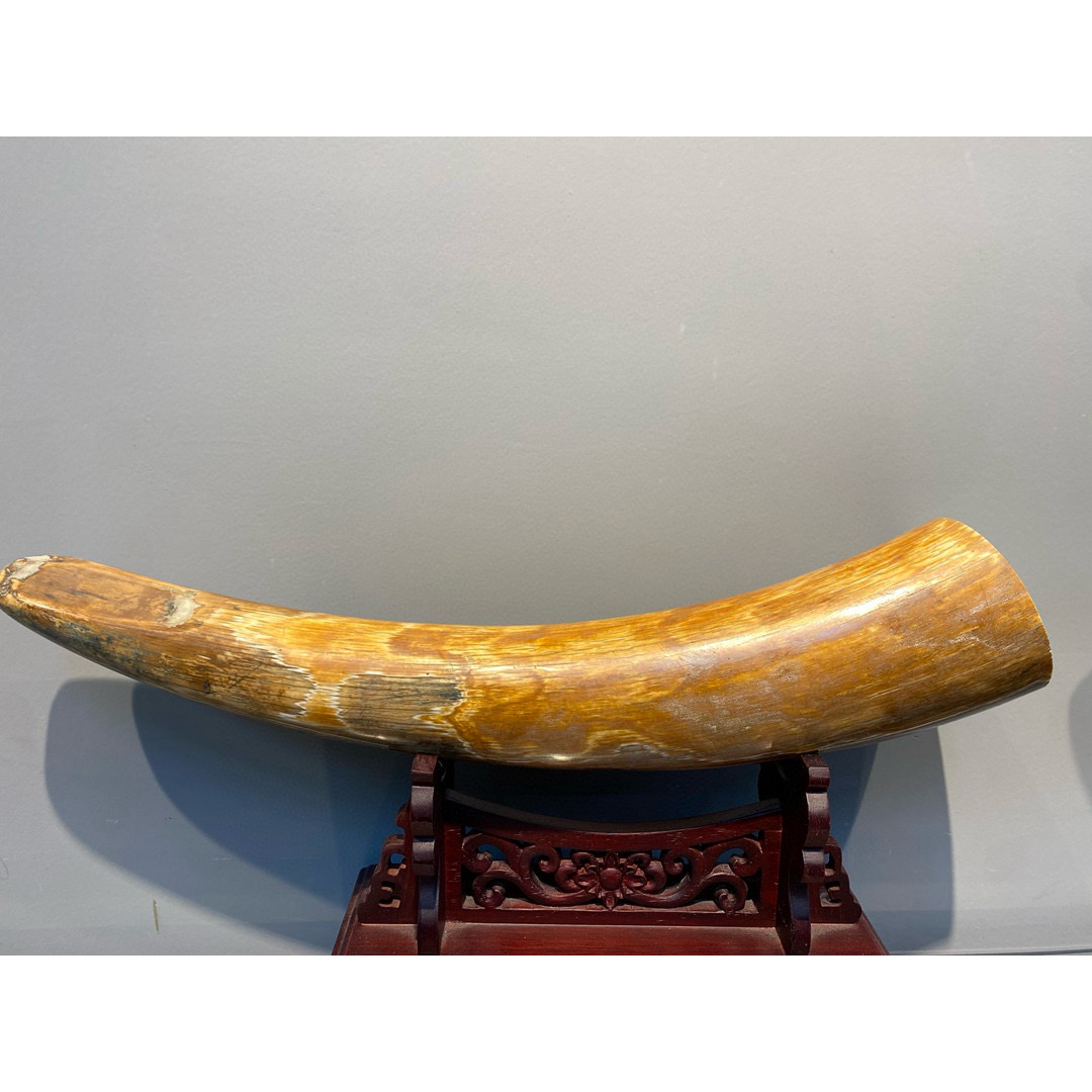 天然マンモス牙美しい手作り彫刻 1マンモス牙·原皮素 置物の通販 by