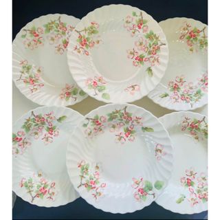 WEDGWOOD - ウェッジウッド アップルブロッサム ディープ 深皿 6枚の