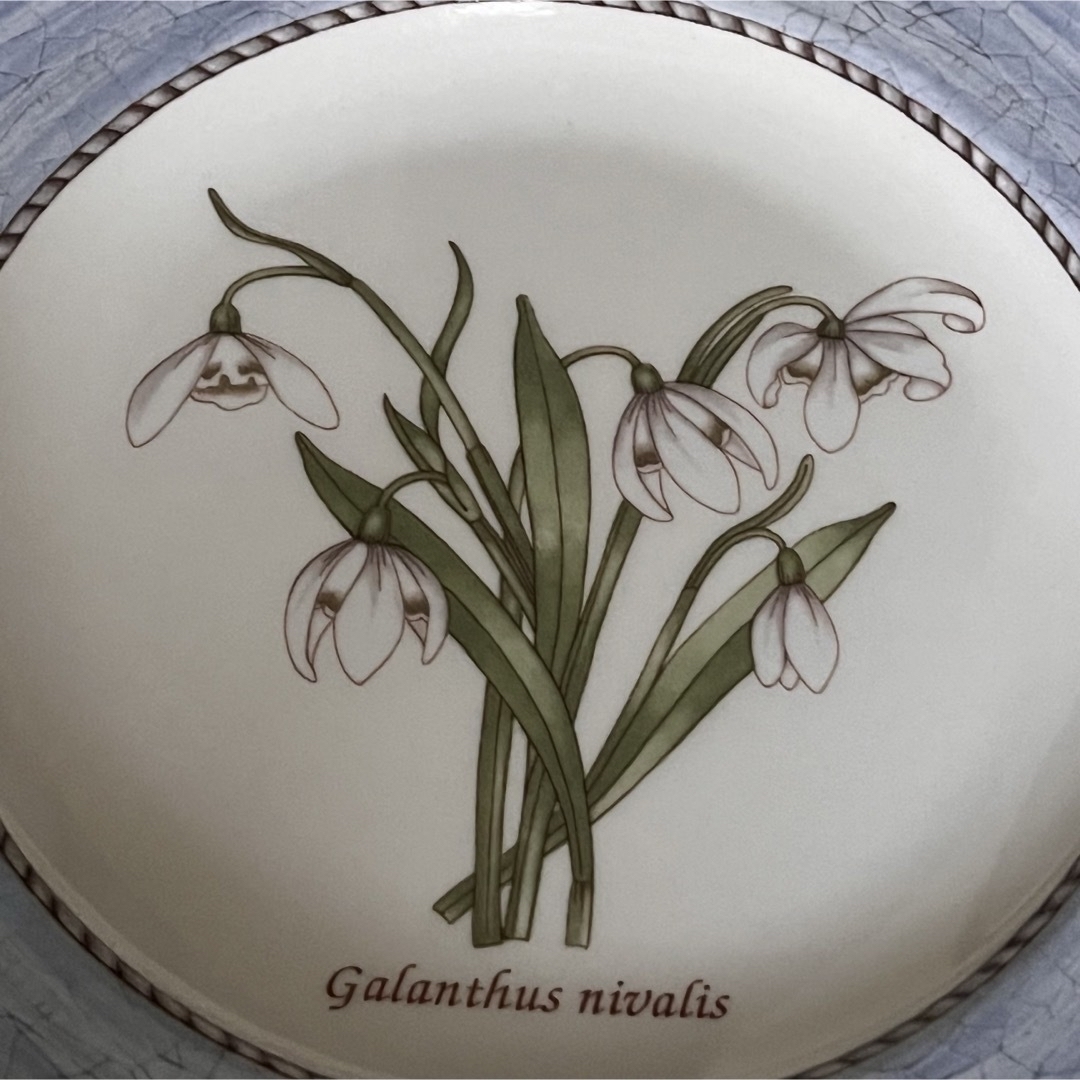 WEDGWOOD - 【美品】英国製 ウェッジウッド☆サラズガーデン スノー