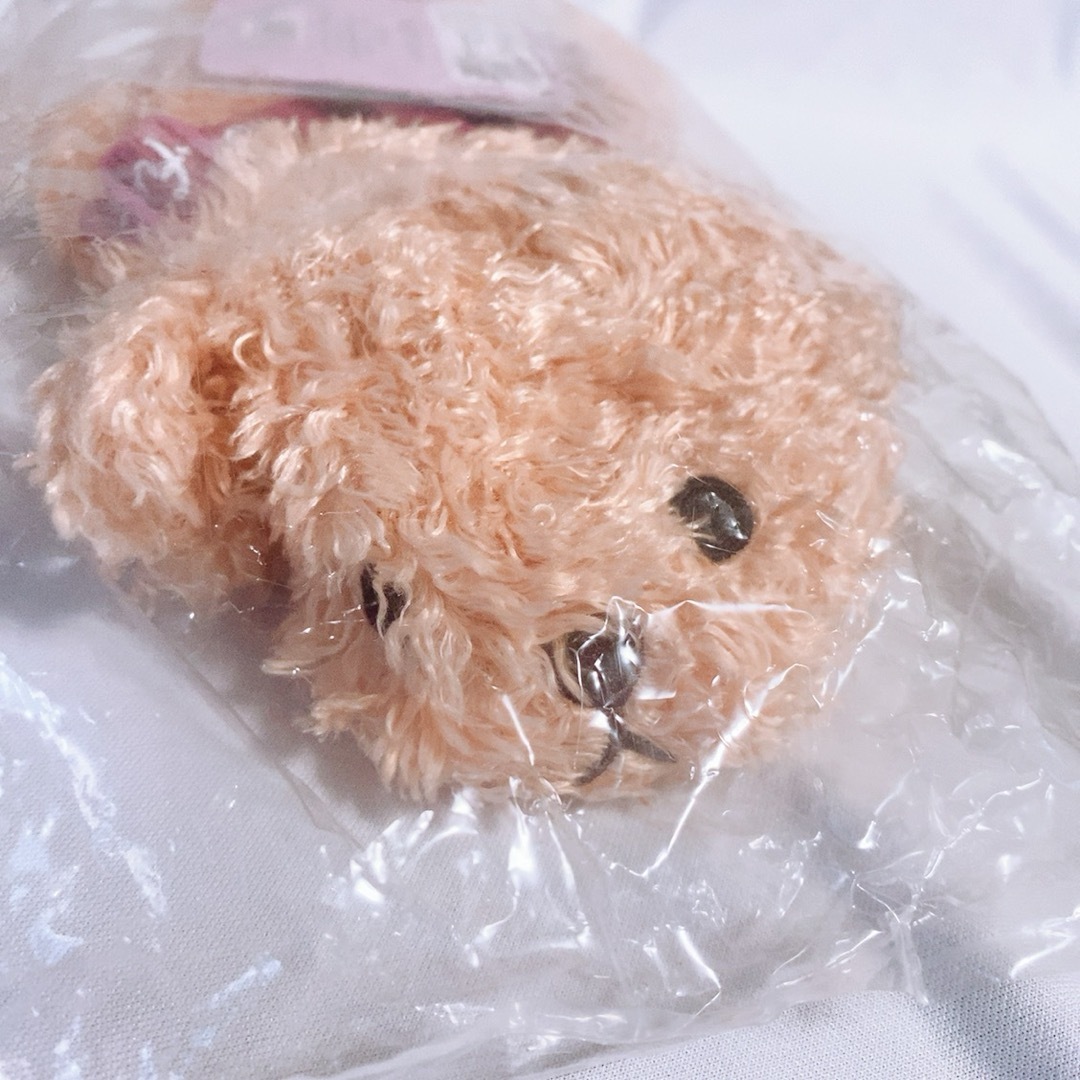 TULLY'S COFFEE - タリーズ ベアフル ボトルケース ペットボトルカバー