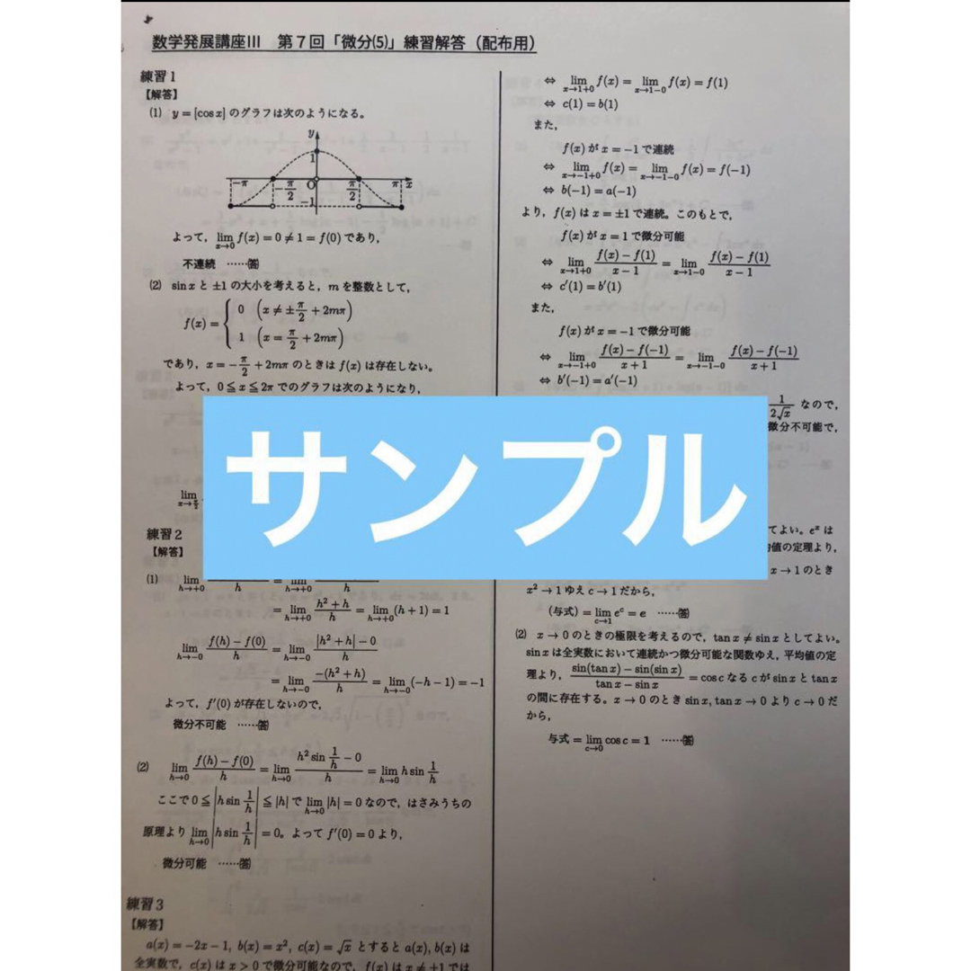 鉄緑会 高2 数学基礎・発展講座Ⅲ 練習解答プリント フルセットの通販