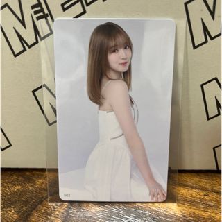 2342205929.jpg?1723276840