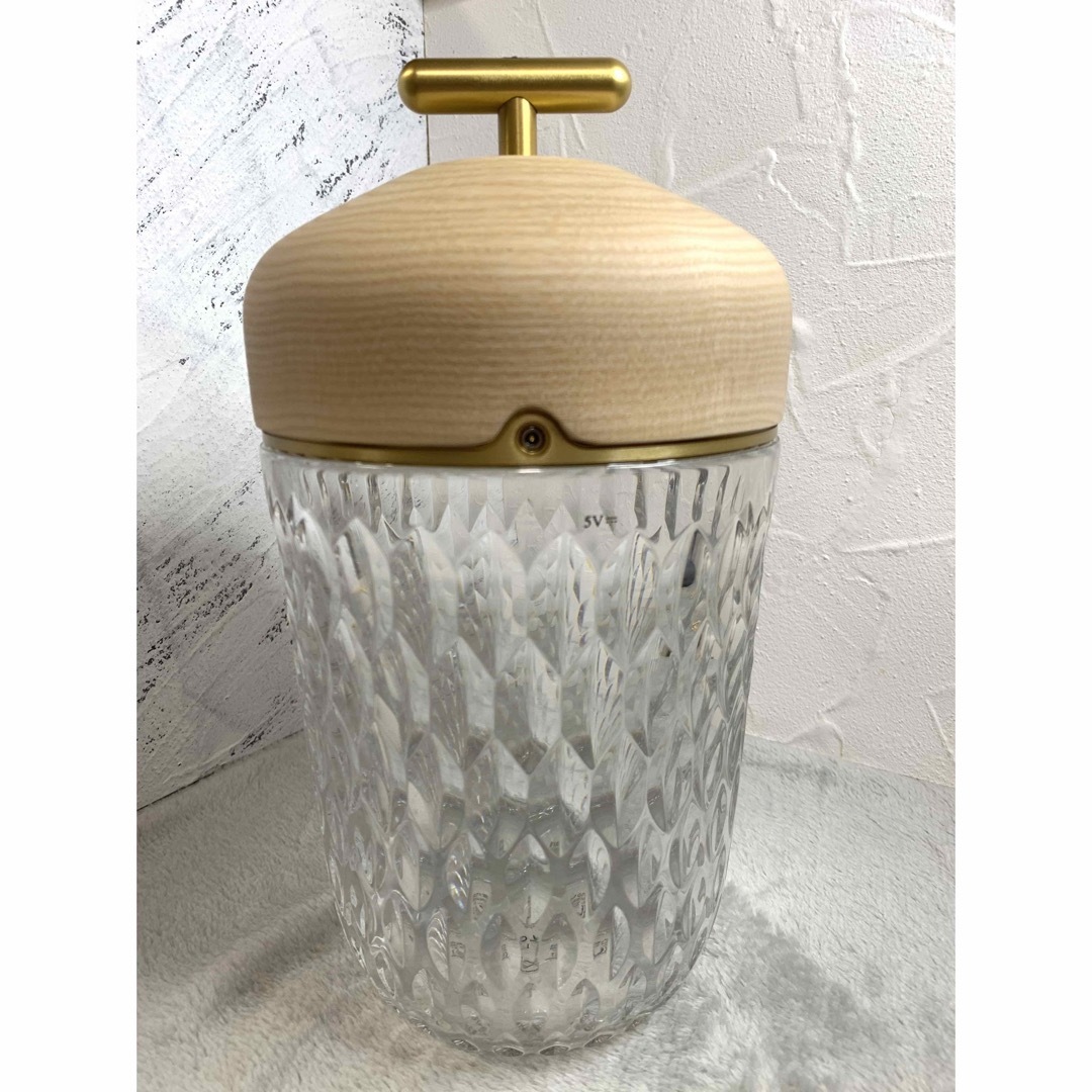 HERMES - 新品未使用 HERMES サンルイ どんぐりランプ ポータブル