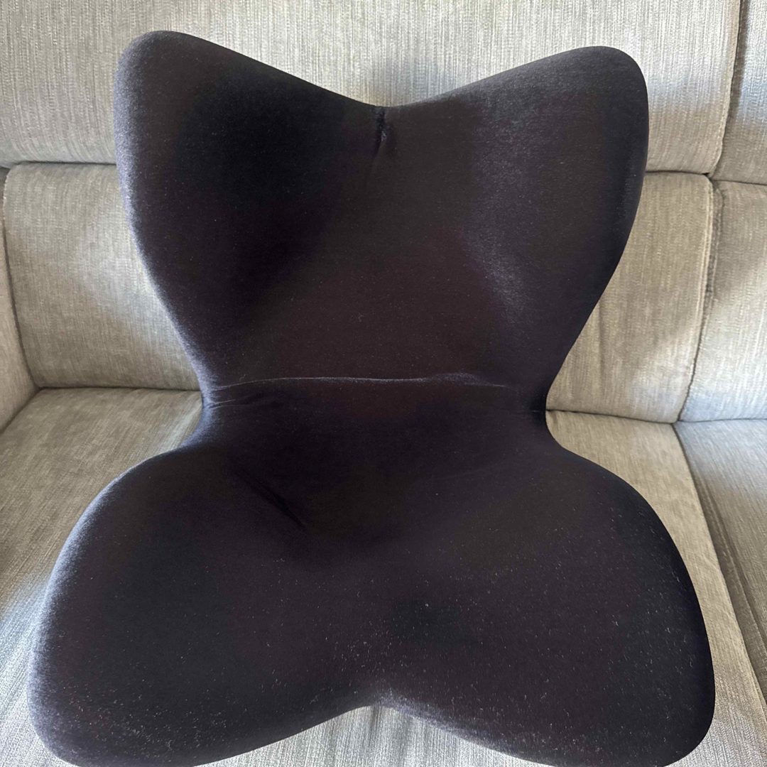 Style premium DX 骨盤・姿勢矯正クッション 黒 蝶型