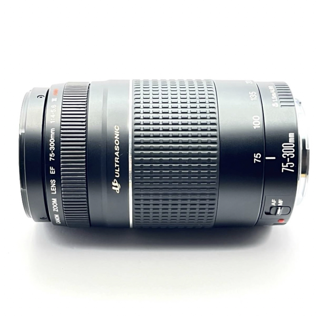 スポーツ/イベントCANON EF 75-300㎜F4-5.6 III USM スポーツ⁄イベント等⁄