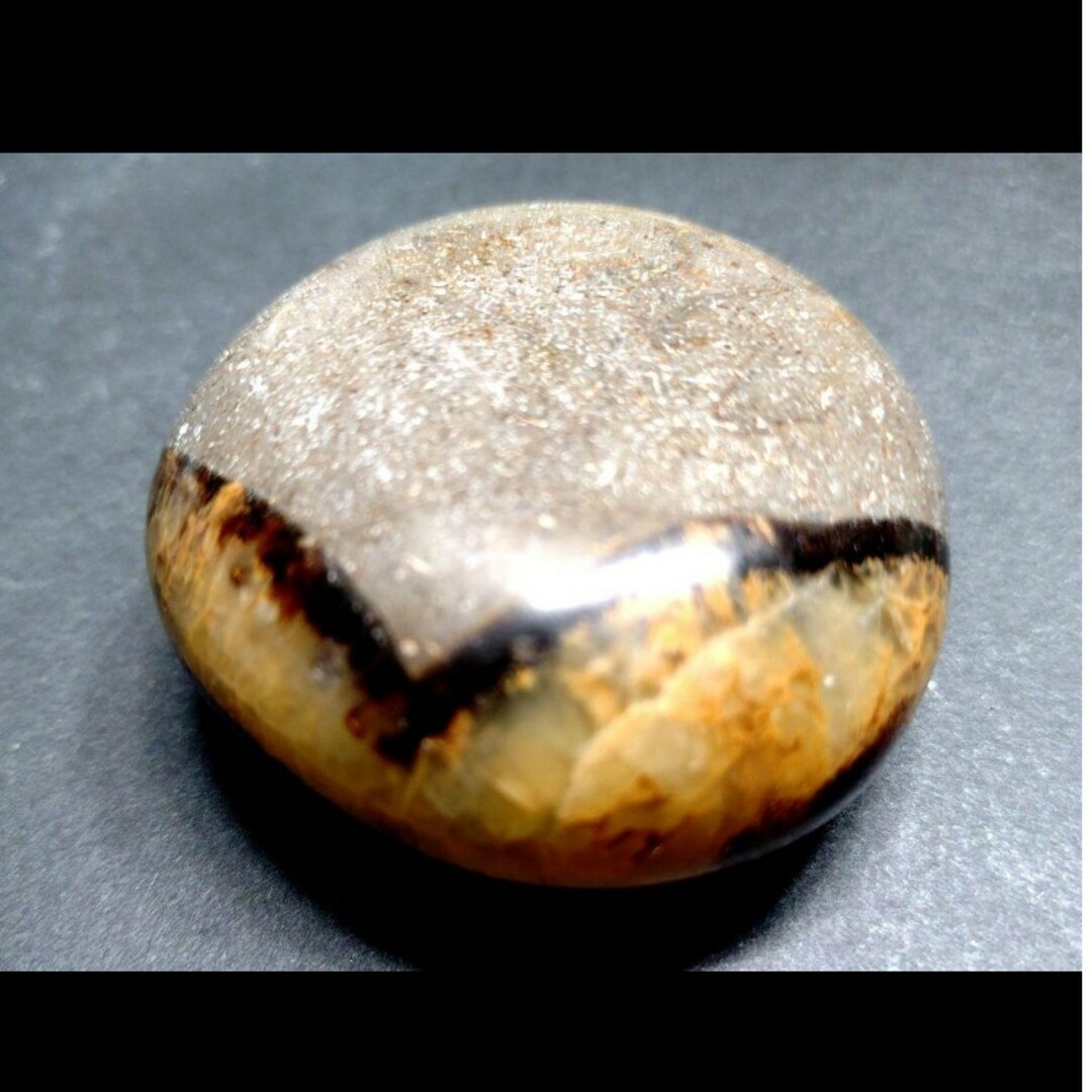 セプタリアン 特大サイズ卵 【公式通販】