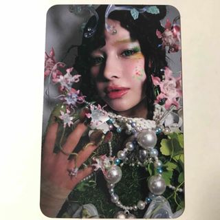 2424056321.jpg?1731079192