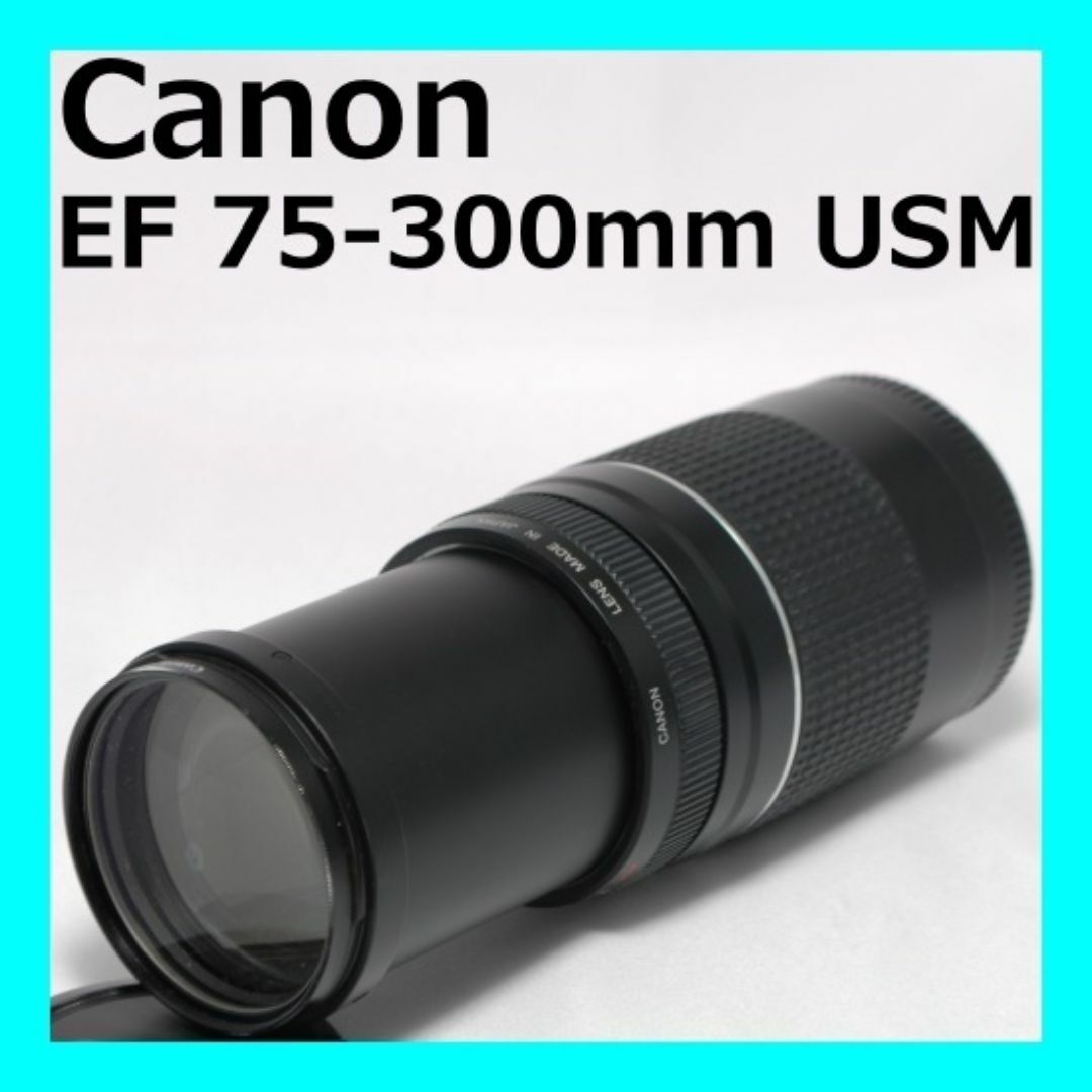 Canon純正 75-300mm 望遠レンズ 美品 a5134 Canon純正 75-300mm 望遠