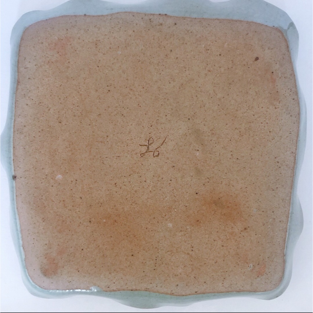 SALE‼︎ 【レア】新品 辻 修窯 盛り付け皿 風に揺れる 野の花 平皿