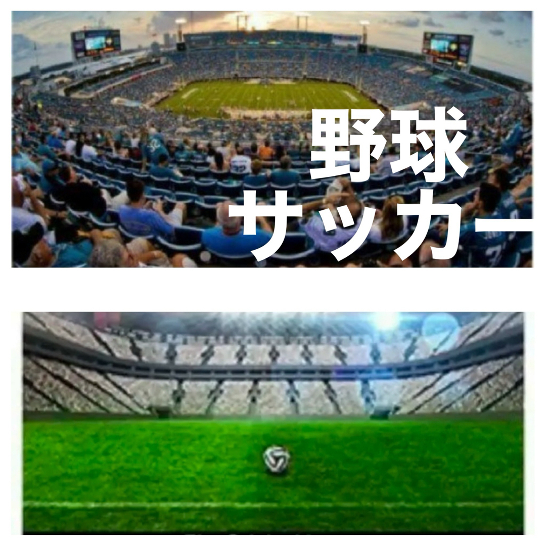 緊急価格！SONYミラーレス対応！ズームレンズ！カメラ初心者でも安心