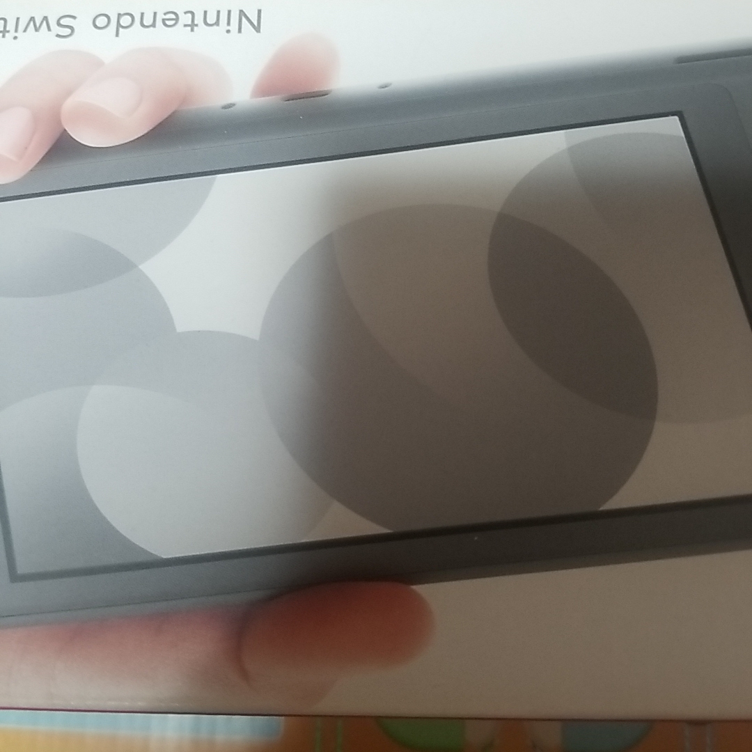 Nintendo Switch - 689.Nintendo Switch Liteグレー スイッチライト