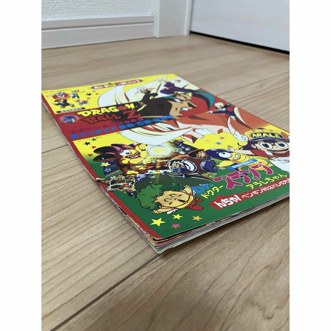 ドラゴンボール - 映画ドラゴンボールZ 燃えつきろ‼︎熱戦•烈戦•超激戦