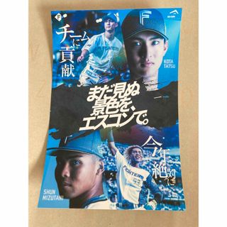 北海道日本ハムファイターズ - プロ野球チップス2023 杉谷拳士サイン