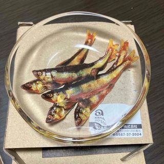 ADERIA - アデリアレトロ プレート150 10種セット 限定 新品未使用の