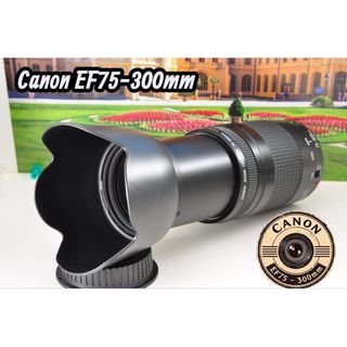 Canon - 9月25日限定価格♪Canon EF 100-300mm F4.5-5.6の通販 by こっ